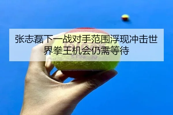 张志磊下一战对手范围浮现冲击世界拳王机会仍需等待