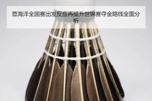 覃海洋全国赛出发反应再提升世锦赛夺金路线全面分析